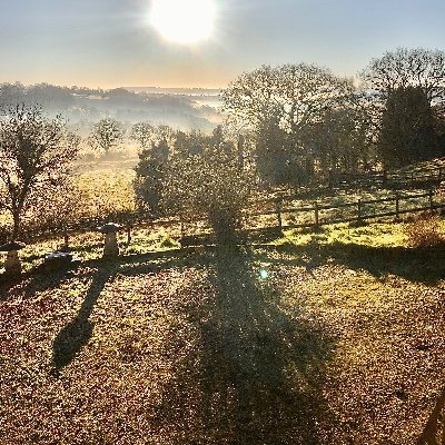 FoxcubF's profile picture. Somerset family home