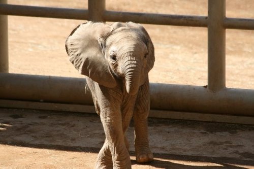 pkruseck's profile picture. 