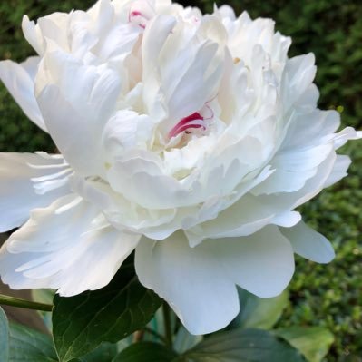 yip305's profile picture. 