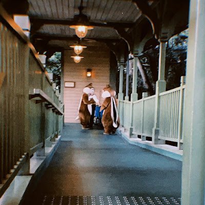 moco41552113's profile picture. 