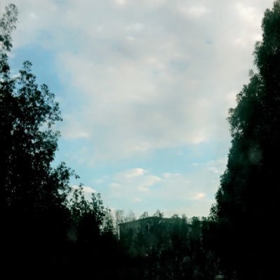 sam8_ran's profile picture. . .