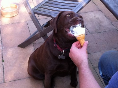 shazpopti's profile picture. 