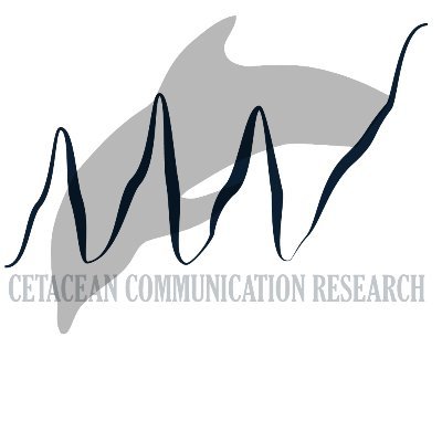 We are a small non-profit dedicated to understanding cetacean communication and improving conservation and management