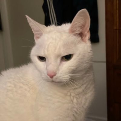 dottiechuck's profile picture. I'm excited about what life teaches me daily. I'm not big into complaining. Instead, i'd rather be part of the solution. I attempt to apply godly love.