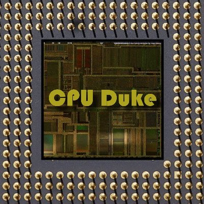 CPU Duke Profile