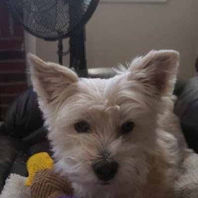 This4nothing80's profile picture. Independent thinking, common sense, and constantly opinionated