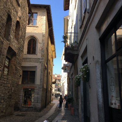 asimplegirlana's profile picture. 🥟 Fluent in 中文, हिन्दी & Eng