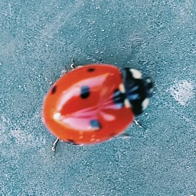 JuanSal62151371's profile picture. Quién seca nuestro cerebro