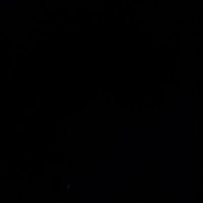 AllinOn55281142's profile picture. 