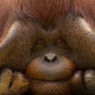 nomi (@daddynomi) 's Twitter Profile Photo