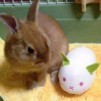 迷きち★さんのプロフィール画像
