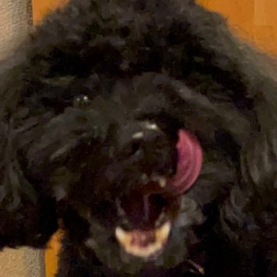 やよいさんのプロフィール画像