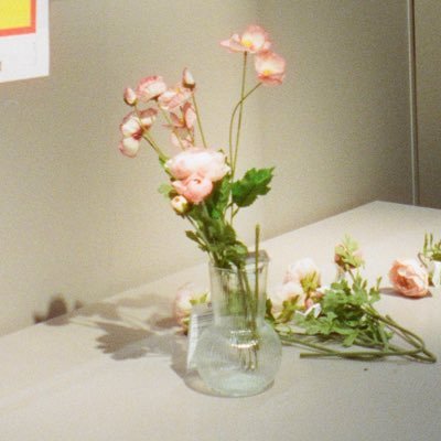 calendartalk's profile picture. analog travelogue