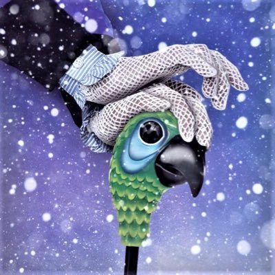 wwhistlemerlin's profile picture. primary school teacher, mum to 2grown ups and Ozzie Hound and always a northern bird