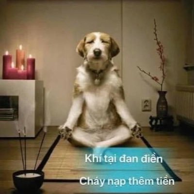 giangnguyen6794's profile picture. #ETH #LINK #DOT #NEAR 🚀