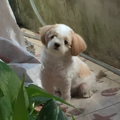 bさんのプロフィール画像