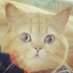 heming (@heming_org) Twitter profile photo heming (@heming_org) Twitter profile photo
