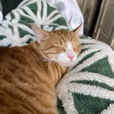 beth_abrams's profile picture. "Is this the Krusty Krab?"