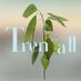 Trencall Film (@trencallfilm) Twitter profile photo