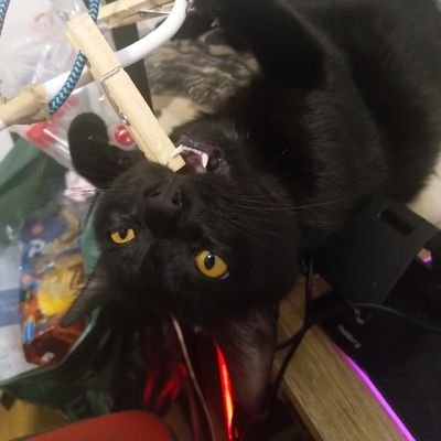 ElDragounyou's profile picture. J'ai la flemme de détester les gens
WOW - FEH - FGOus - DA  - DQ - Warhammer - Fable
my English is very very bad, sorry