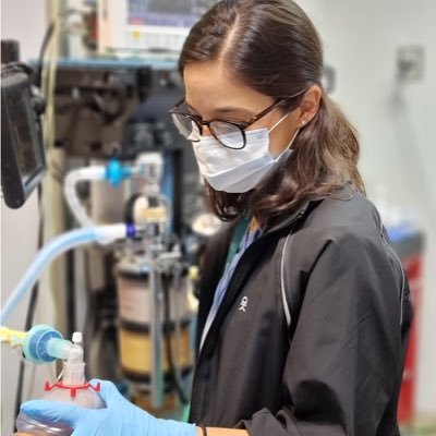 MarianaRVL's profile picture.