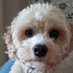 Rachel Whitehouse (@rachelw86064644) Twitter profile photo Rachel Whitehouse (@rachelw86064644) Twitter profile photo
