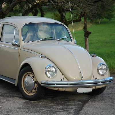 Picea1965's profile picture. 