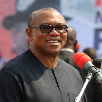 peterobi2023 Profile Picture