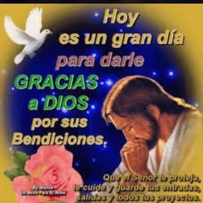 AguasvivaManuel's profile picture. Angel13