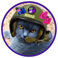Brie ๐น๐๐๐งธ (@briebritishcat) 's Twitter Profile Photo Brie ๐น๐๐๐งธ (@briebritishcat) 's Twitter Profile Photo