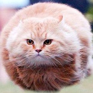 siimia543's profile picture. 