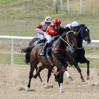 BIŞAR TURGUT (@bar77111347) 's Twitter Profile