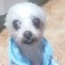 Hasbi (@hasbi1996) Twitter profile photo Hasbi (@hasbi1996) Twitter profile photo