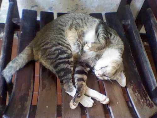 Marryonette's profile picture. 