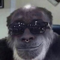 dgshoota (@t2mpt) 's Twitter Profile