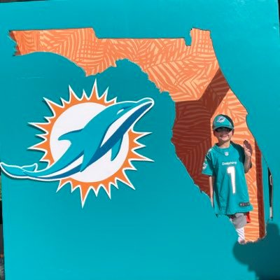 I am Dolphins Liam. The best little @MiamiDolphins Fan in the World! 😎 #FinsUp #MiamiDolphins ❤️🐬🏈