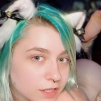 Sencha Fox (@sencha_f) 's Twitter Profile