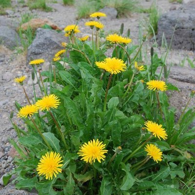 石川県能美市。絵本やおはなし好きなメンバーがあつまって、いろんなジャンルの人とコラボしたおはなし会を開催しています。