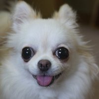 アンタデス (@antares00jp66) 's Twitter Profile Photo アンタデス (@antares00jp66) 's Twitter Profile Photo