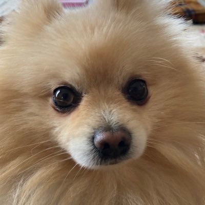 新潟/月利205万/クリーニング/レザークラフト/補色好き/理念【綺麗で上質なユーズド品を市場へお客様の元へ】