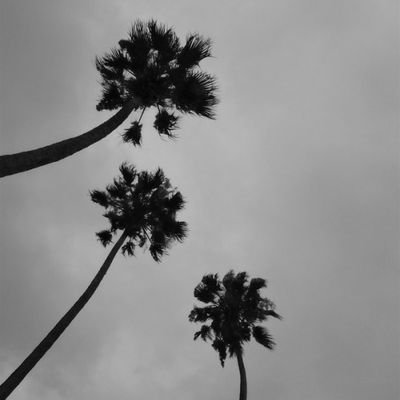 airant_cas's profile picture. 