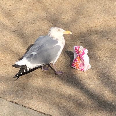 EricZulkofske's profile picture. Eric