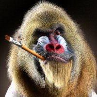 πππ¬π¬π’π¦π¨ ππ’π π‘π’ (@massimorighi) 's Twitter Profile Photo πππ¬π¬π’π¦π¨ ππ’π π‘π’ (@massimorighi) 's Twitter Profile Photo