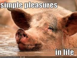 SimpelPleasures's profile picture. I'm learning to appreciate the Simple Pleasures of life that otherwise pass by unnoticed - many relate to the natural world and being as nature intended, naked.