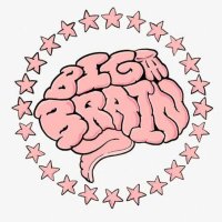Big Brain Bets 🧠 (@thebigbrainbets) 's Twitter Profile