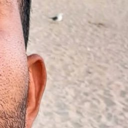 adrianveac's profile picture. 