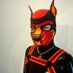 Pup TJ (@puptj97) Twitter profile photo Pup TJ (@puptj97) Twitter profile photo