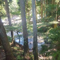 (｀ロ´;) (@ntiho74ponwdfnd) 's Twitter Profile