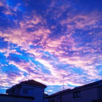 ebay輸出と何かの二本柱 (@tamsurfborders) 's Twitter Profile