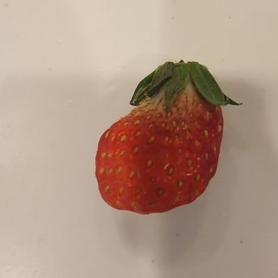 io_sukunai's profile picture. I'm japanese forensic analyst.
but not good at English.
I'm intarested in cybersecurity.